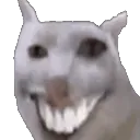 wot_cat