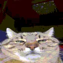 pluhangif pluhangif