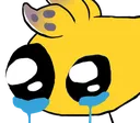 squidcry