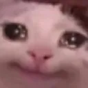 sadcat