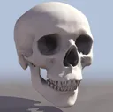 skullblyat