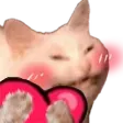 blushHEART