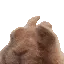 bunnychill