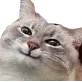 heh