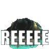 YoggREEE