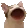 popcat
