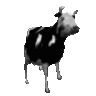 dancecow