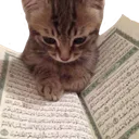 2502qurancat Discord Emoji