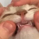 yayhahaWOOThahahayay yayhahaWOOThahahayay