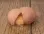 eggcrack