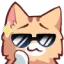 NekoSunglasses