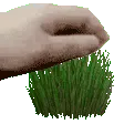TouchGrass
