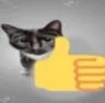 thumbsup thumbsup