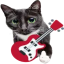 guitarcat guitarcat