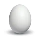 Egg Egg