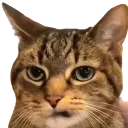 vpc