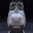 donkey_reaction