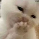 emoji_4