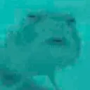 ew