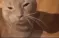 IzzverselsCrying IzzverselsCrying
