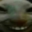 xdd xdd