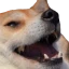 dogekek Discord Emoji - UFOlogy