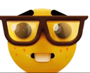 y_nerd3 Discord emoji
