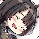 WakamoDakimakura