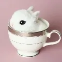 bunnycup
