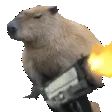 gun