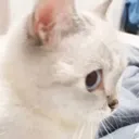 ummm