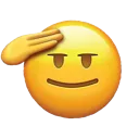 salute salute