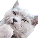 big_thoughts