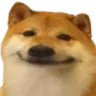 Shiba