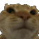 863617216117473350