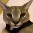 Sussy_Cat
