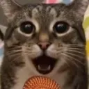 cat_speaking_mic Discord Emoji