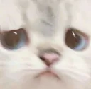 aw