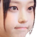 haerinface~1 Discord Emoji
