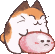 Kirby_Cat