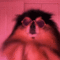A_doggydance