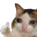 Cat Thumbs Discord Emoji