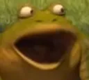 froggers froggers