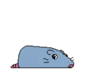 ratinch