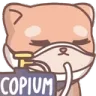 shibcopium