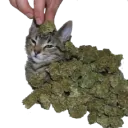 :king420: