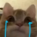 cryge