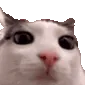 plink