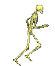 bones