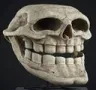 skull_issue